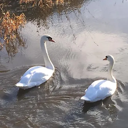 La Passerelle à Mouzaive Casa vacanze Vresse-sur-Semois