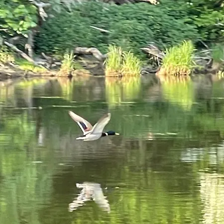La Passerelle à Mouzaive *