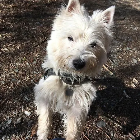 La Passerelle à Mouzaive *
